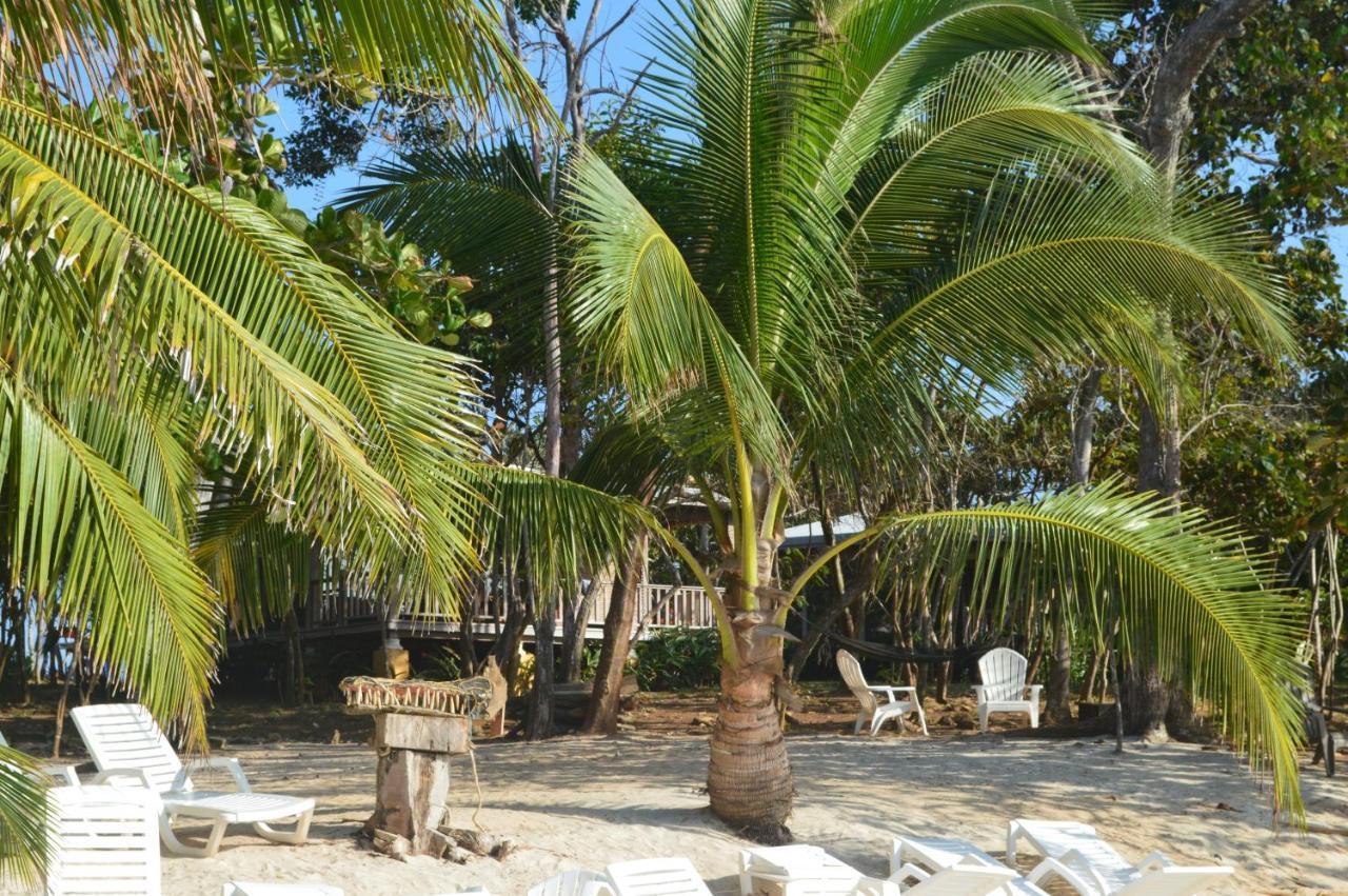 Sonny Island Resort Cabanas Frente Al Mar Punta Bajo Rico Ngoại thất bức ảnh